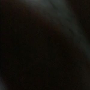 Meet your Posher, Dylan